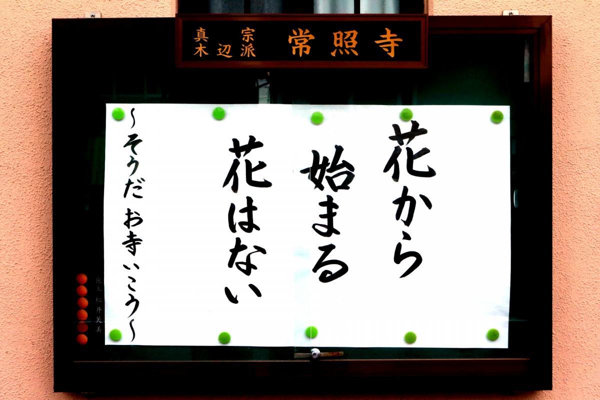 2026.3.7　今回の掲示板