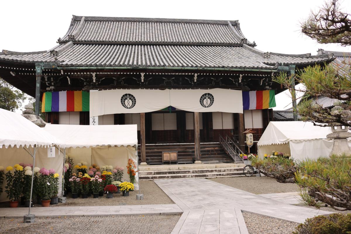 11月21日　本山錦織寺　親鸞聖人報恩講
