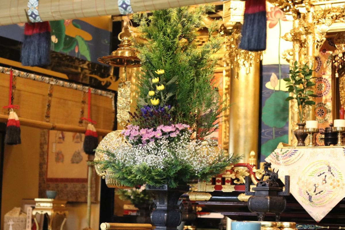 9月16日    今回の仏華