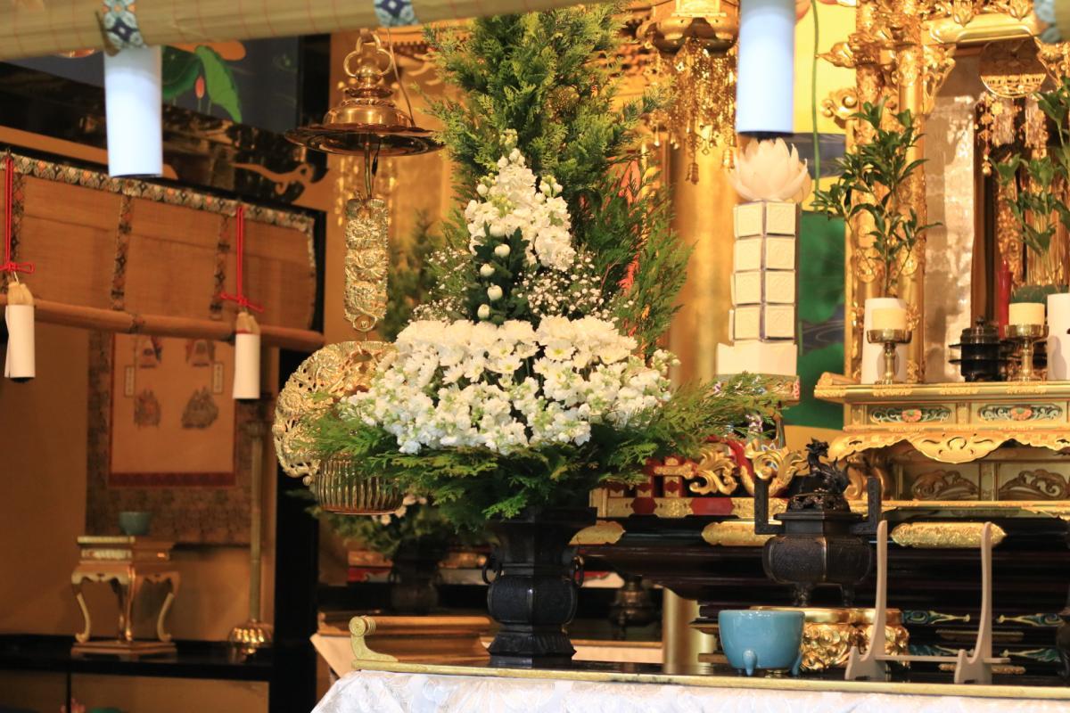 2月17日    今回の仏華