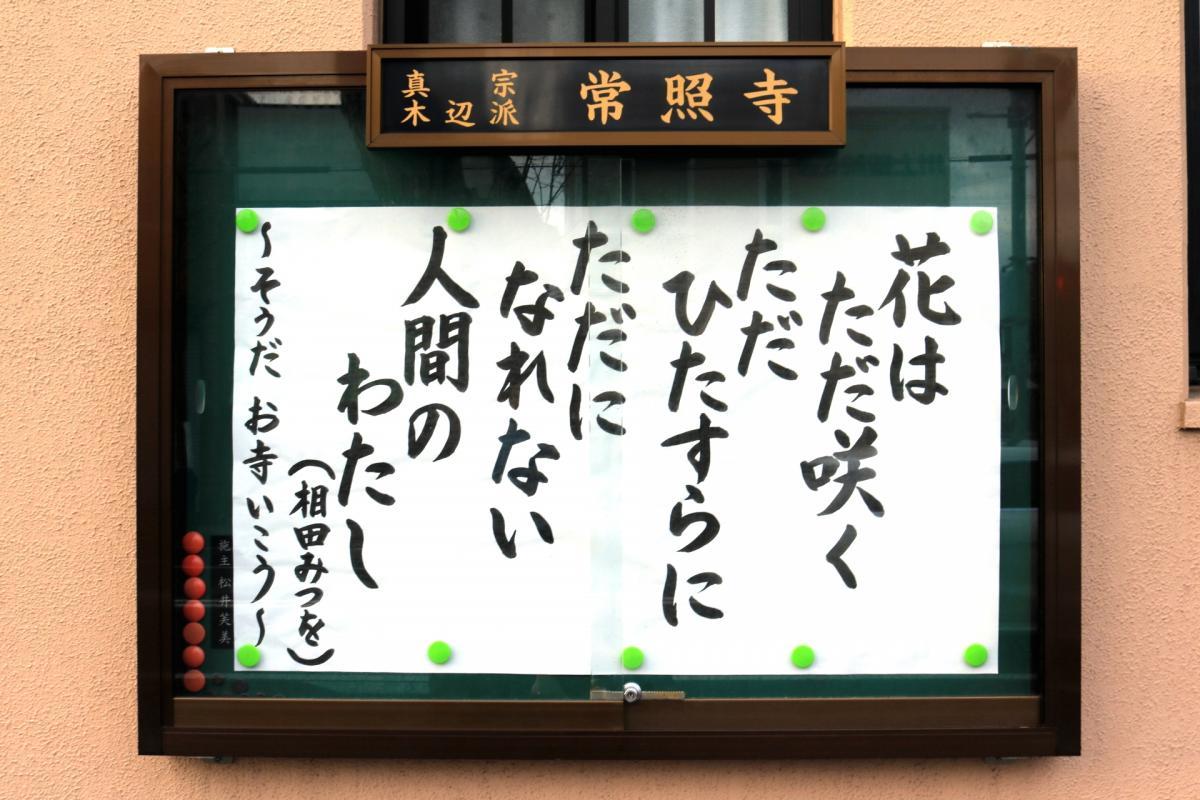 3月5日    今回の掲示板