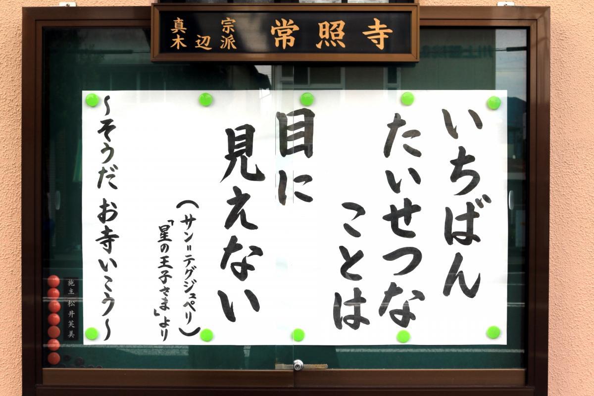 7月10日    今回の掲示板
