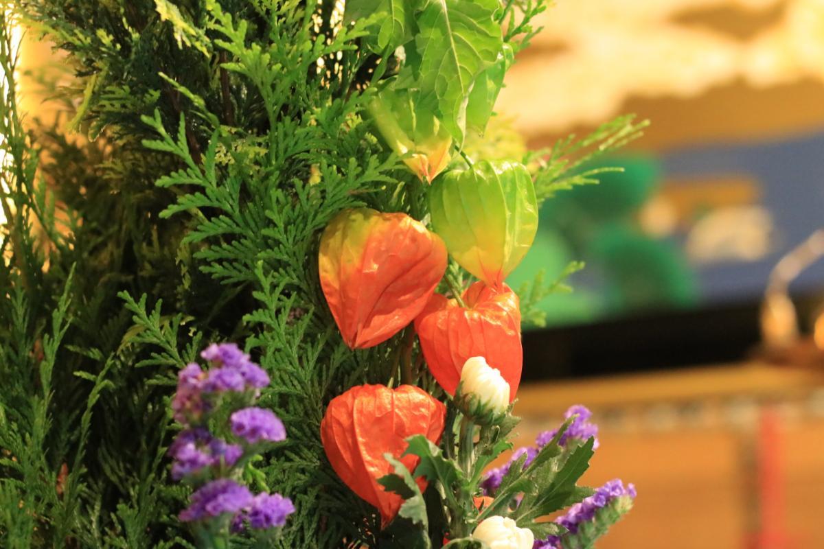 8月6日    今回の仏華