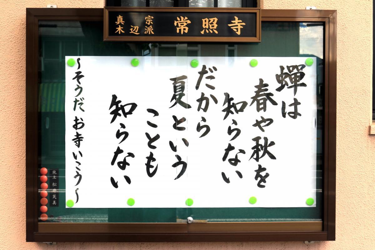 8月7日    今回の掲示板