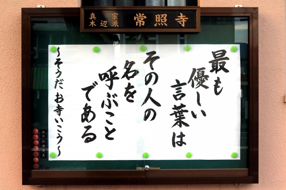 10月24日    今回の掲示板