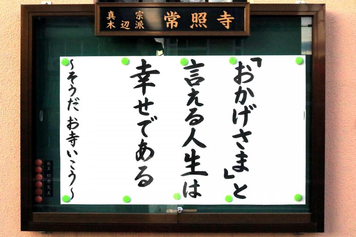 1月1日    今回の掲示板