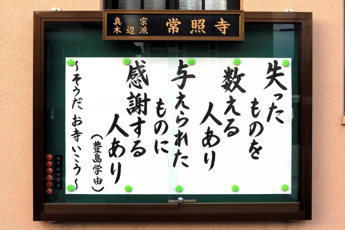 1月24日    今回の掲示板
