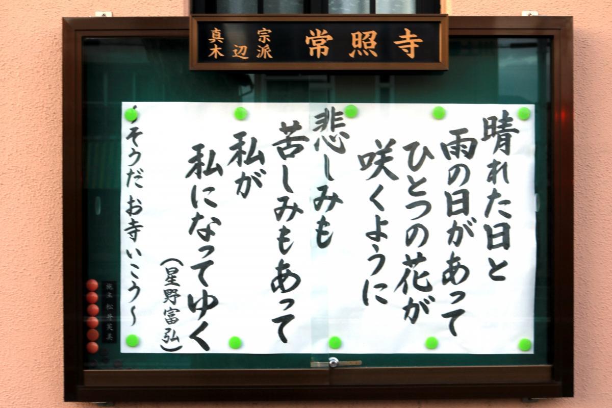 3月5日    今回の掲示板