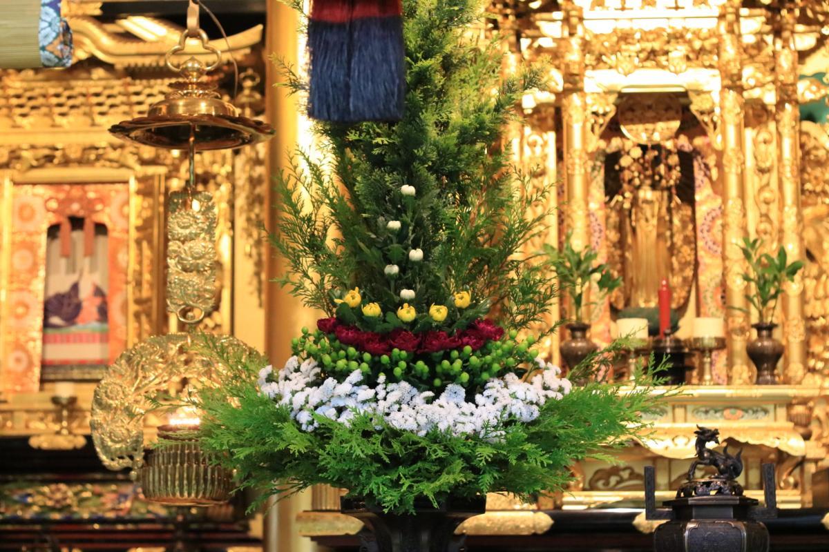3月31日    今回の仏華