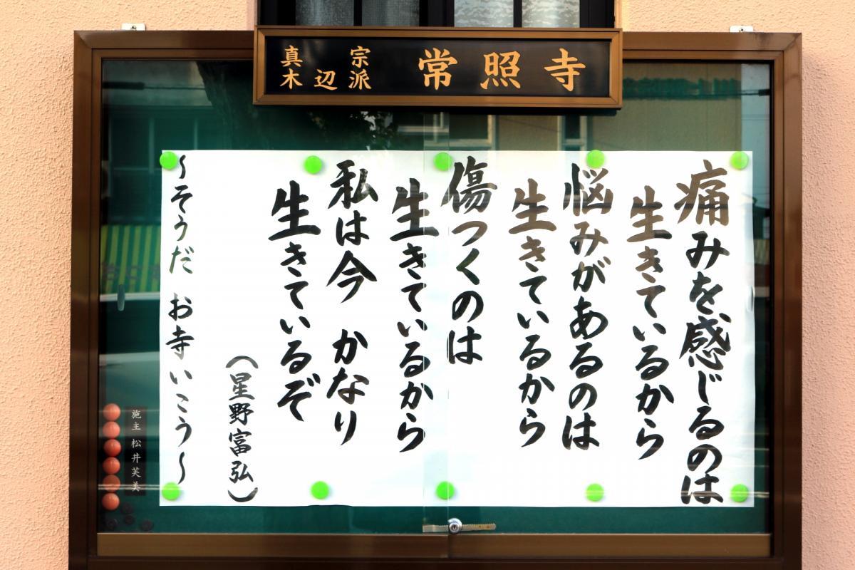 7月9日    今回の掲示板