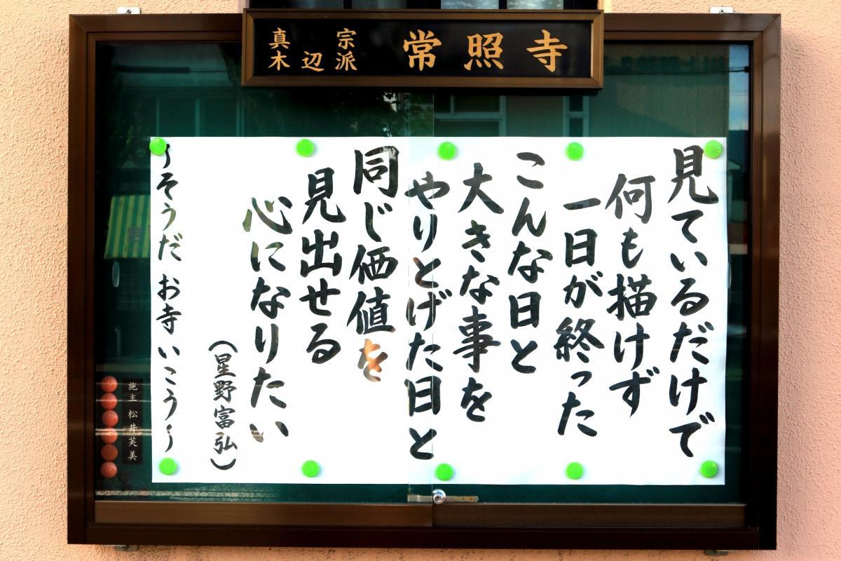 8月6日    今回の掲示板