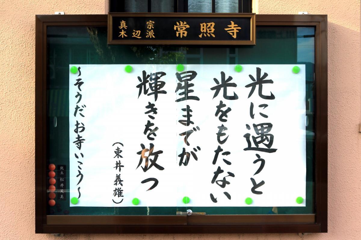9月10日    今回の掲示板