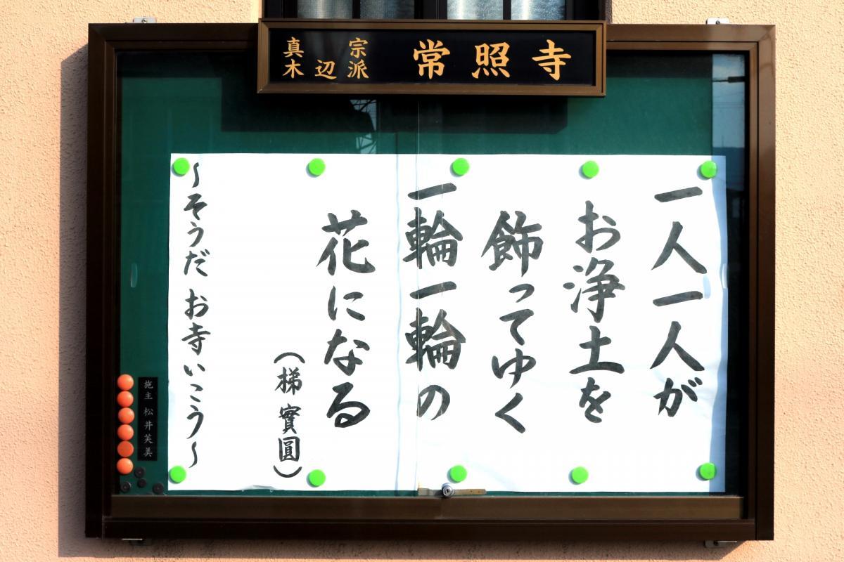 1月1日    今回の掲示板