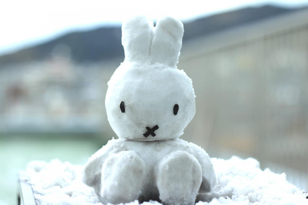 1月25日    雪のミッフィー