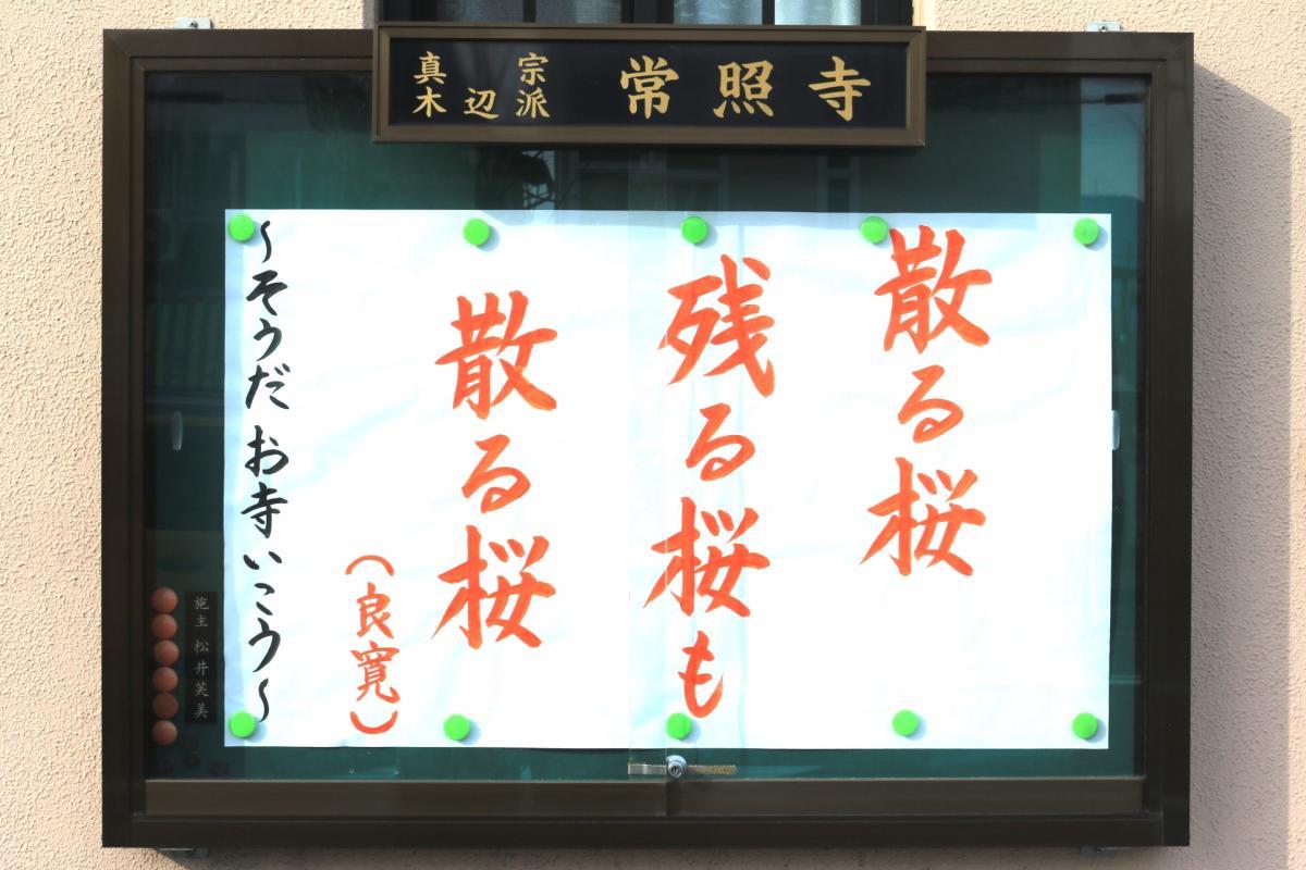 3月4日    今回の掲示板
