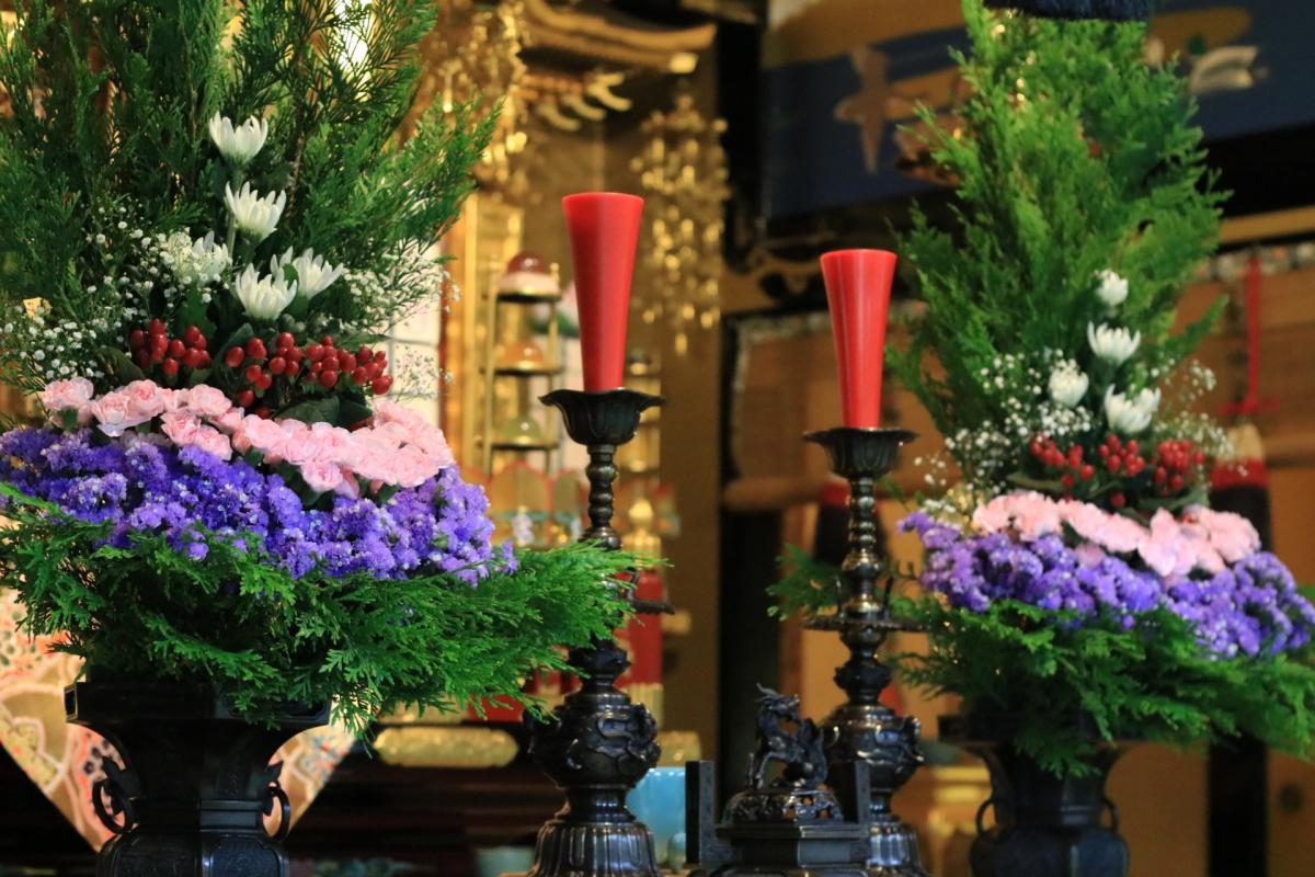 5月17日    今回の仏華