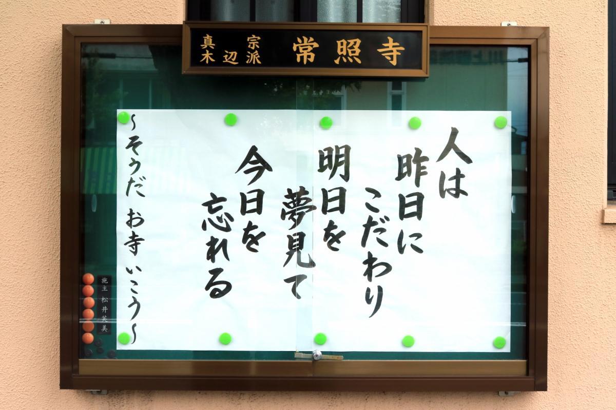 6月10日    今回の掲示板