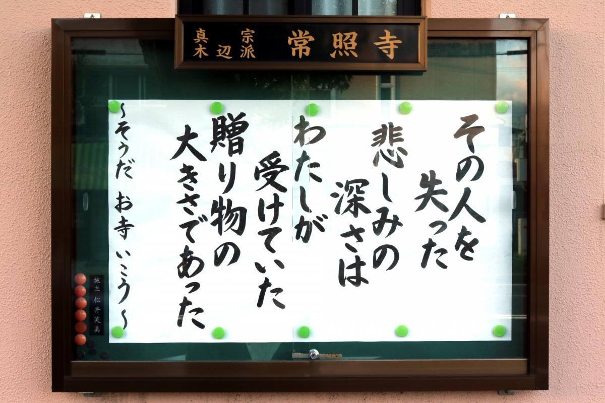 8月5日    今回の掲示板