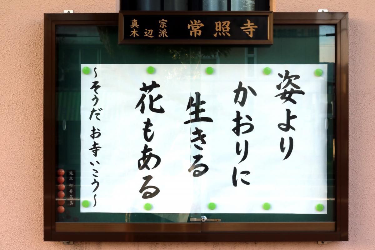 9月9日    今回の掲示板