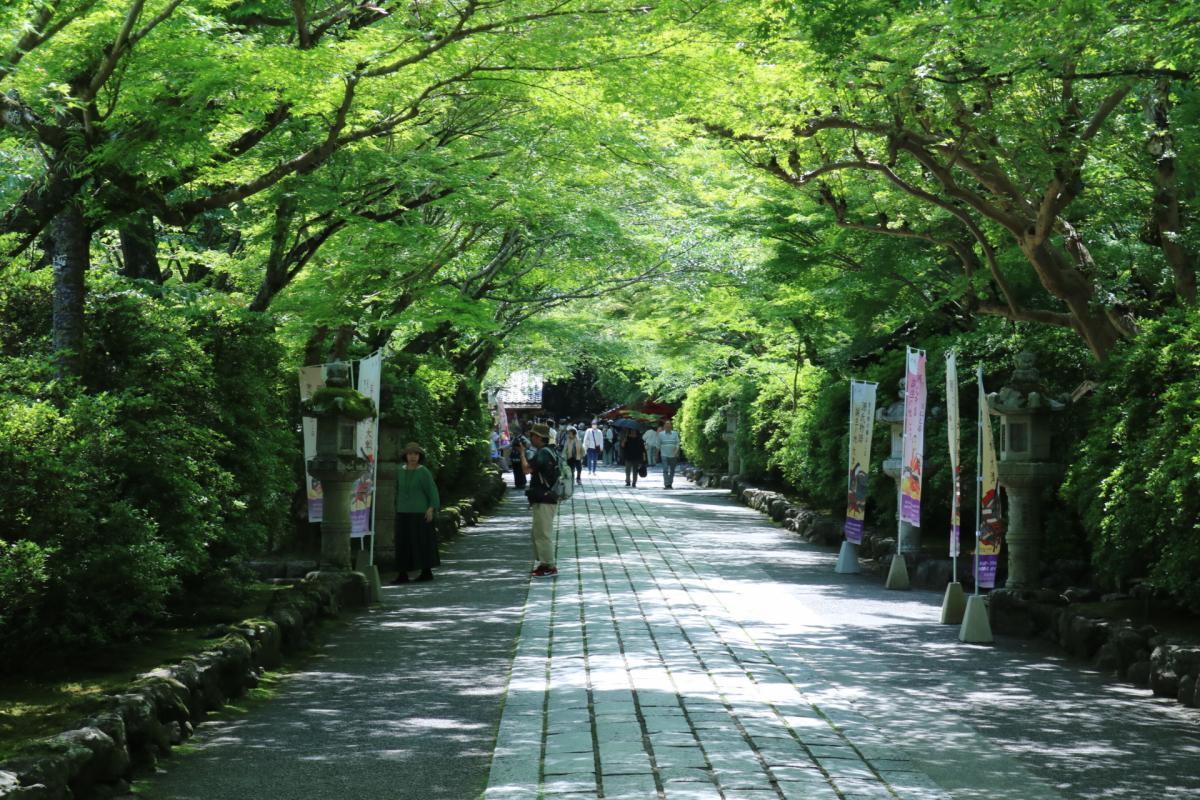 2024.5.17　石山寺へ
