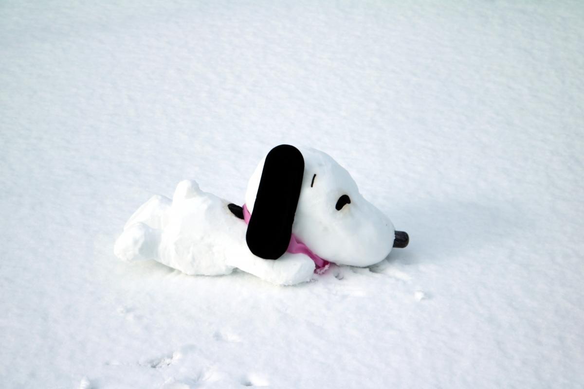 2025.1.10　雪のスヌーピー