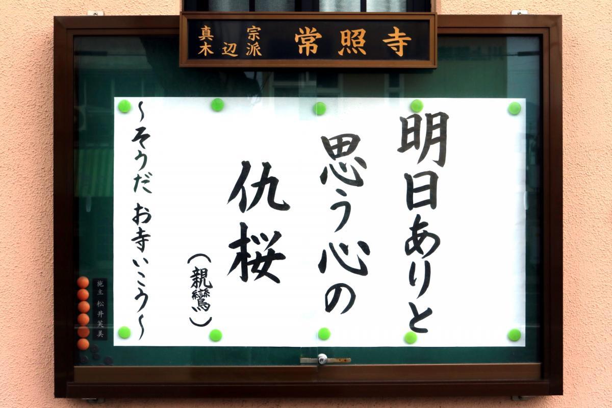 2025.3.1　今回の掲示板